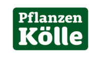 Pflanzen Kolle